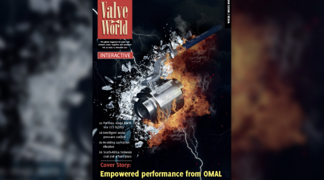 A OMAL na capa de novembro da Valve World Magazine
